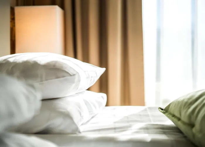 ホテル スカンディック シティ 4*